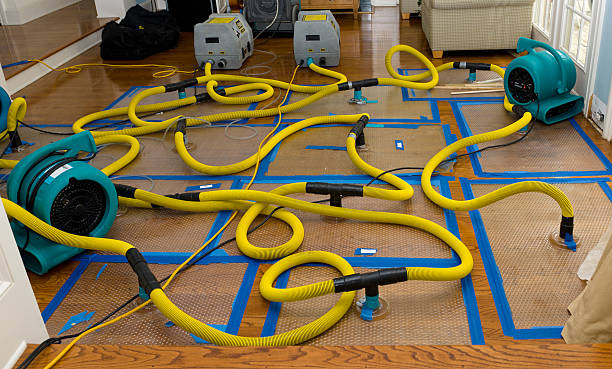 Professional Crawl Space Water Removal technician working in Osage, IA